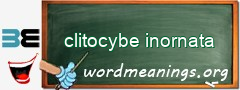 WordMeaning blackboard for clitocybe inornata